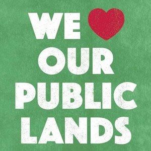 Meet your Posher, Jacquelyn